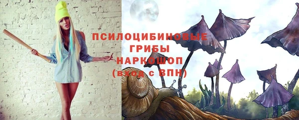 индика Навашино