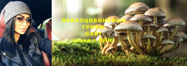 таблы Арсеньев